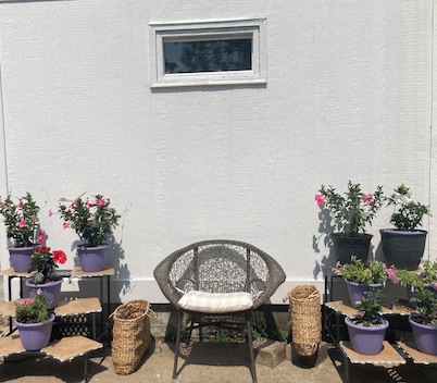 1888 LFalls Gem in Great Location. 3BR, 1BA Modern Comfort Vibes, WiFi, Big Yard