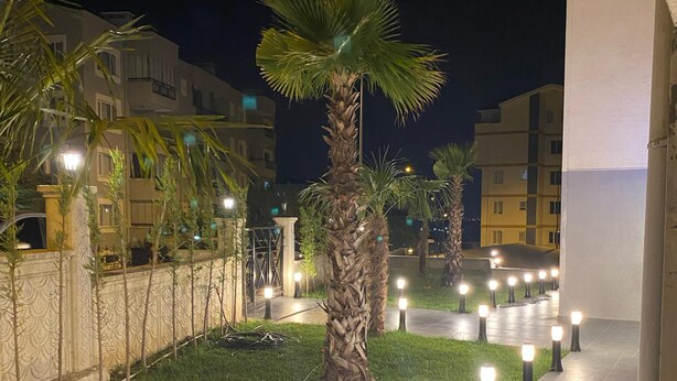 Een buitengebied bij nacht, met een pad bezaaid met gelijkmatig geplaatste lichten, palmbomen en een gebouw op de achtergrond.