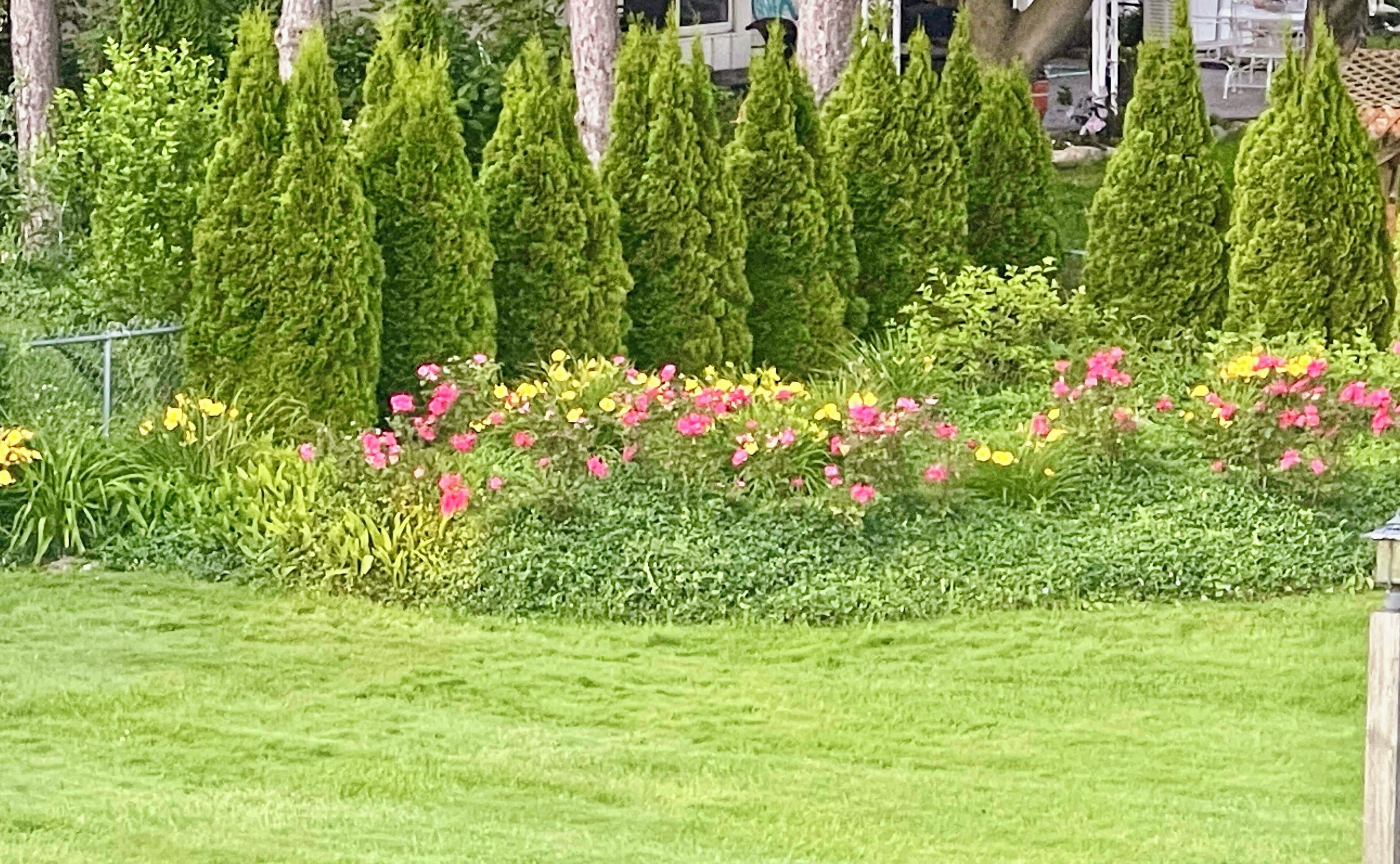 Un jardin bien entretenu, avec des haies soigneusement taillées et une grande variété de plantes à fleurs.