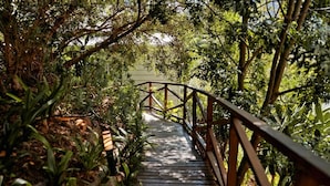 Un sentier en bois, bordé d’une rambarde métallique, entouré d’une végétation luxuriante et d’arbres.