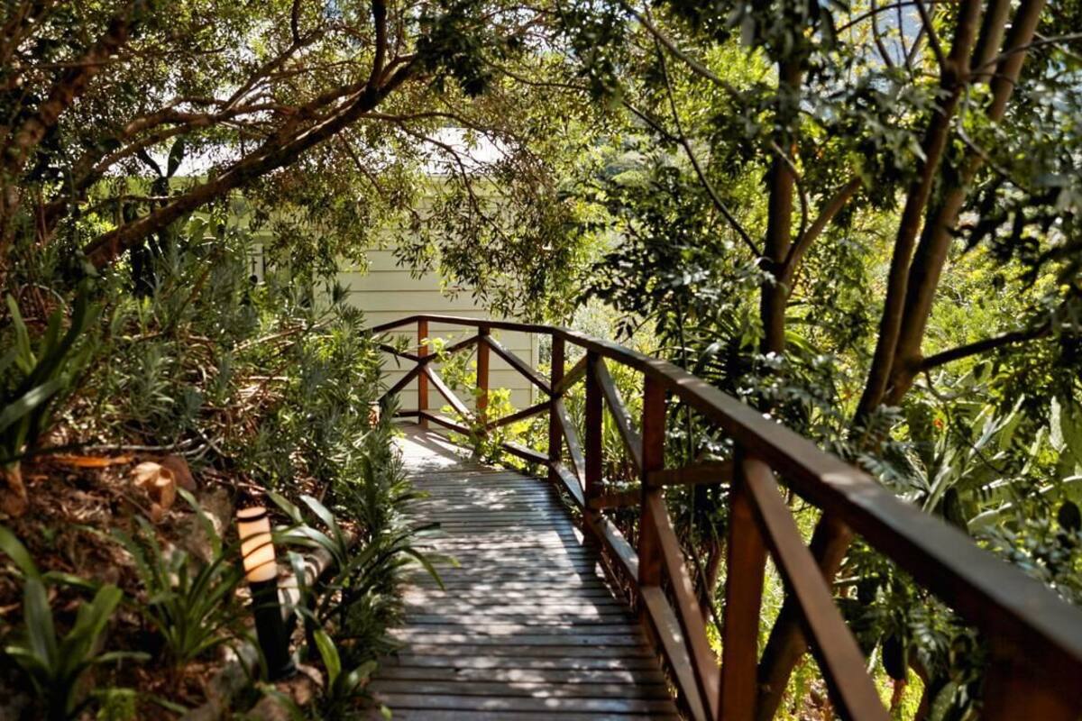 A wooden pathway with a metal railing, surrounded by dense foliage and trees.