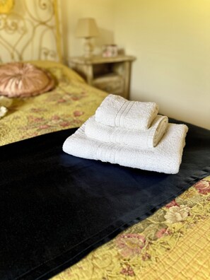 2 bedrooms, iron/ironing board, travel cot, WiFi