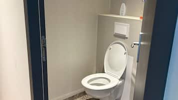 Shower, towels, toilet paper