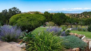 A landscaped garden with a variety of plants and a stone pathway.