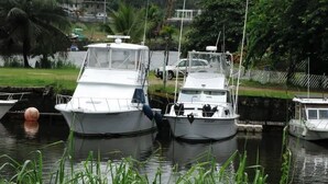 Twee boten aangemeerd in een jachthaven, met een grasveld op de voorgrond en een weg op de achtergrond.