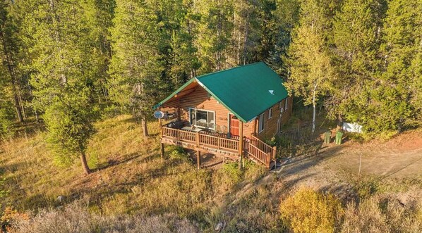 Exterior - Charming Log Cabin near Yellowstone (Island Park)