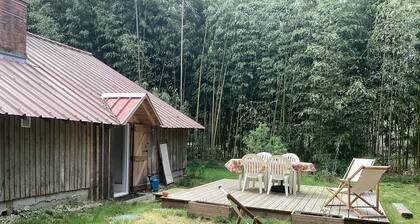 Charming cabin by a lake in the heart of the Landes d'Armagnac forest