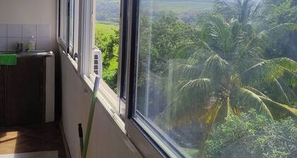 Apartment 55 M2 1st floor 2 bedrooms up to 4 people facing the ocean