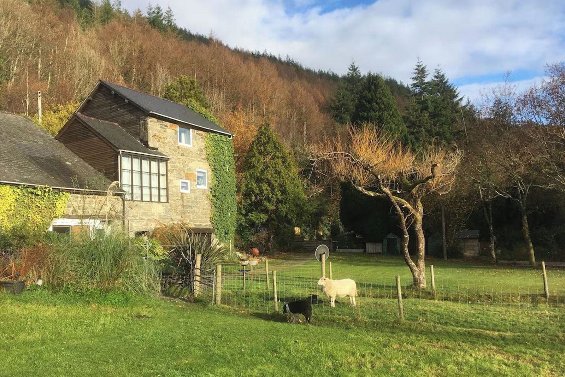 Ein Steinhaus mit geneigtem Dach, ein eingezäunter Hof mit Schafen und ein Baum im Vordergrund.