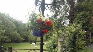 Un entorno rústico al aire libre con un sendero de piedra, un farol de metal con arreglos florales y un portón de madera al fondo.