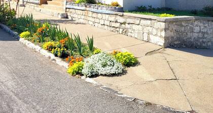 3bdr Apartment in Museum Hill - #2