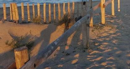 Petite maison Ă 500 mĂštres de la plage au coeur du parc marin - Pays catalan