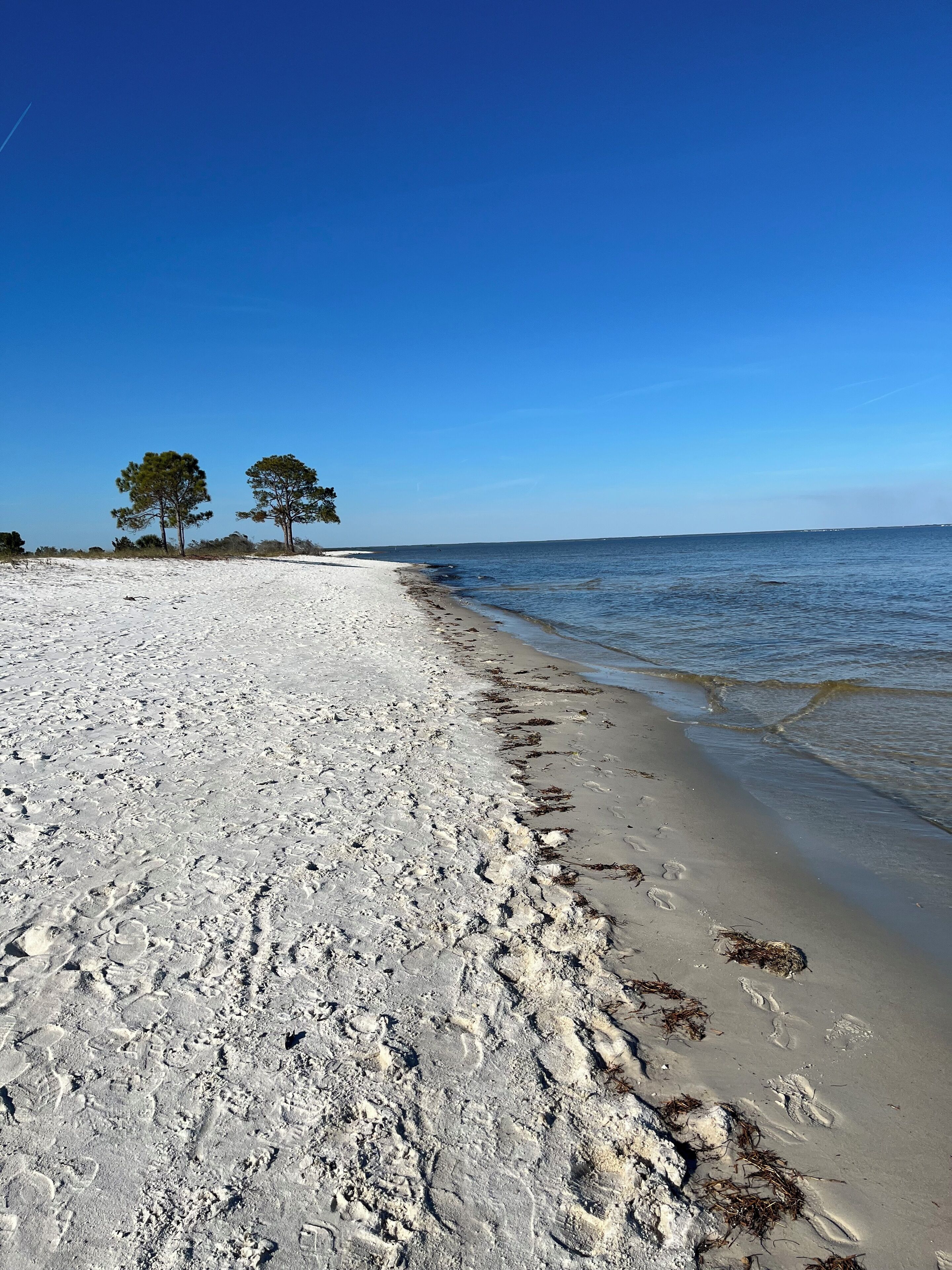 A beach with white sand, two trees, and calm water.