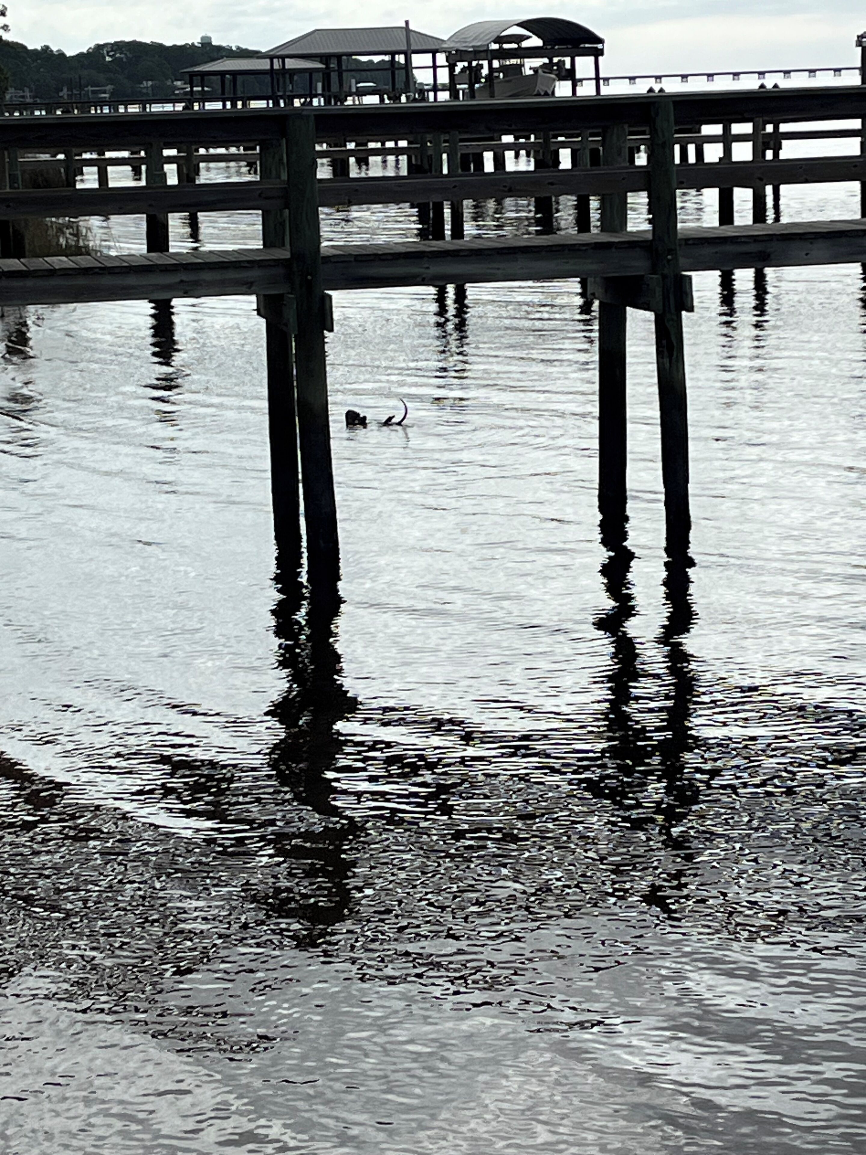 A pier extending into calm water with a reflection of the structure.