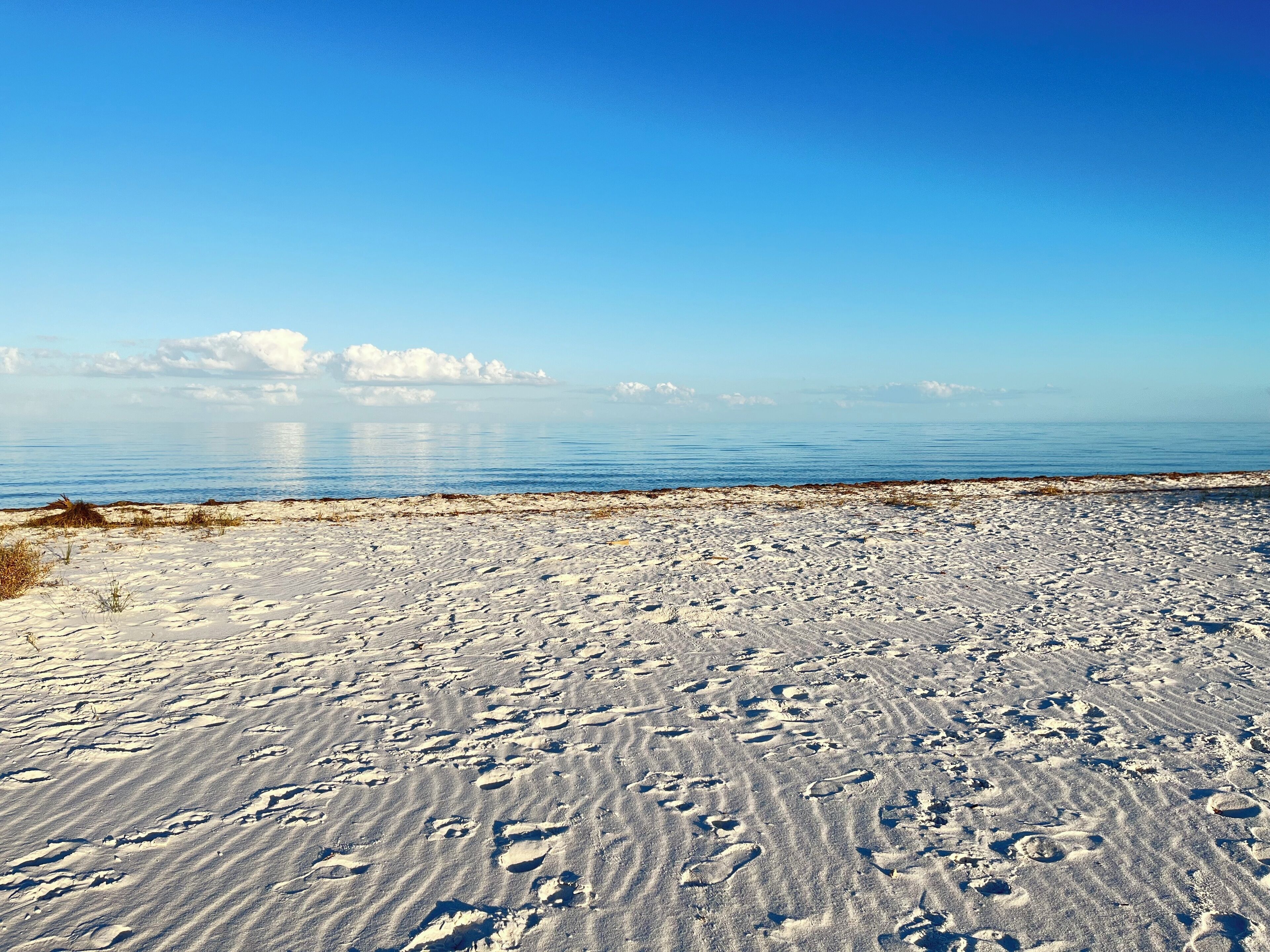 Chaises longues, serviettes de plage