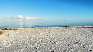 Chaises longues, serviettes de plage