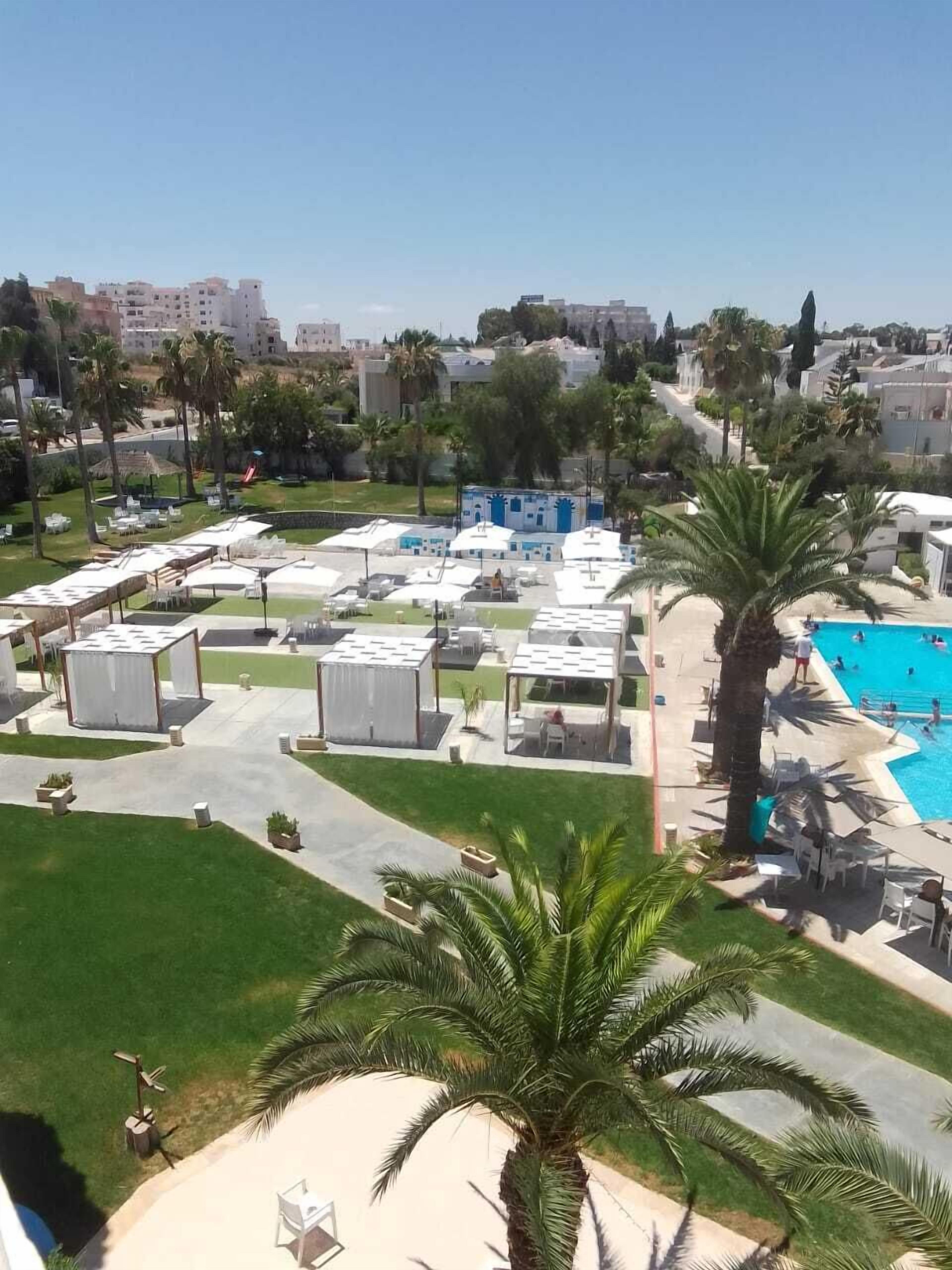 A rooftop pool area with multiple lounge chairs and umbrellas, surrounded by palm trees and a clear blue sky.