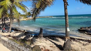 Ein Strand mit Palmen, klarem blauen Wasser und einer felsigen Küste.