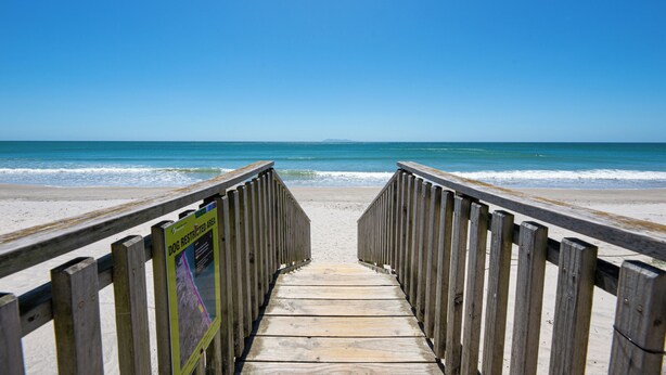 Pasarela de madera que lleva a una playa, con un cartel que indica zona no permitida para perros.