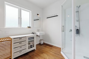 Shower, hair dryer