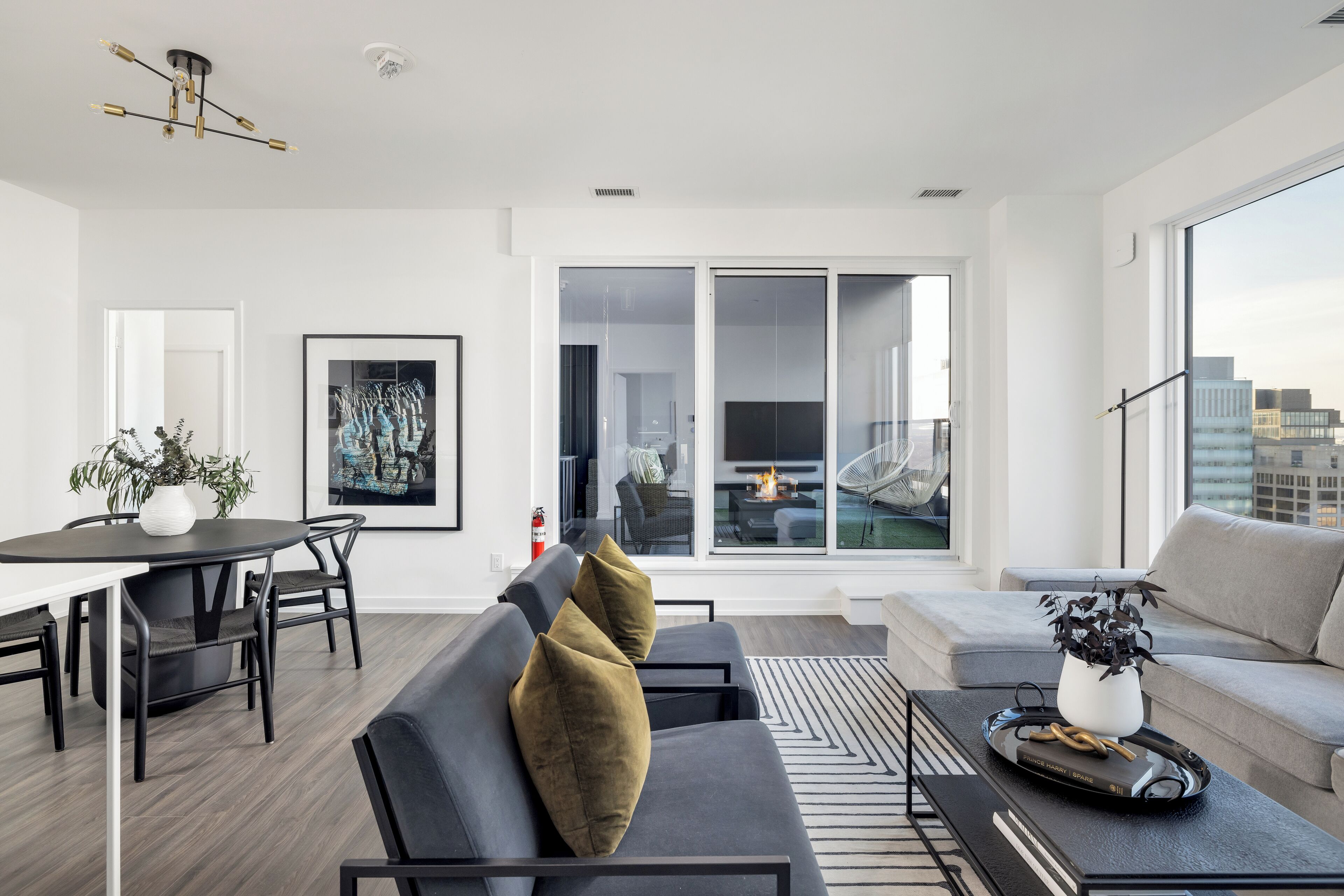 Smart TV, fireplace, video games, books