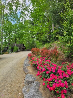 Property grounds - Hidden Gem in the mountains w/hot tub (Asheville)