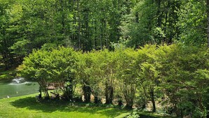 Unclassified image, 2 of 19, button - Stay Near Asheville's PGA TOUR – Hot Tub & Access to the Mtn to Sea Trail (Asheville)