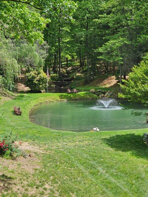 Parco della struttura