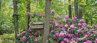 Perfect cabin for 2 w/hot tub