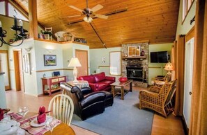 Cheminée, lecteur de DVD