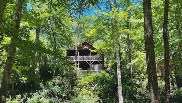 Una cabaña tipo casa del árbol rodeada de un bosque denso.