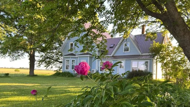 A two-story house with a red roof, surrounded by lush greenery and a well-maintained lawn.