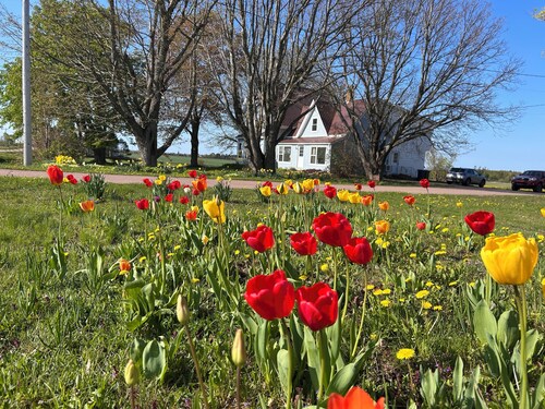 
Garden View near Confederation Bridge and beaches