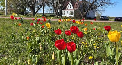 Garden View near Confederation Bridge and beaches
