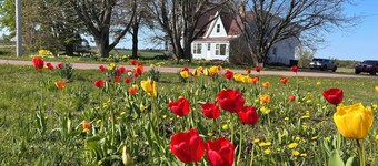 Garden View near Confederation Bridge and beaches