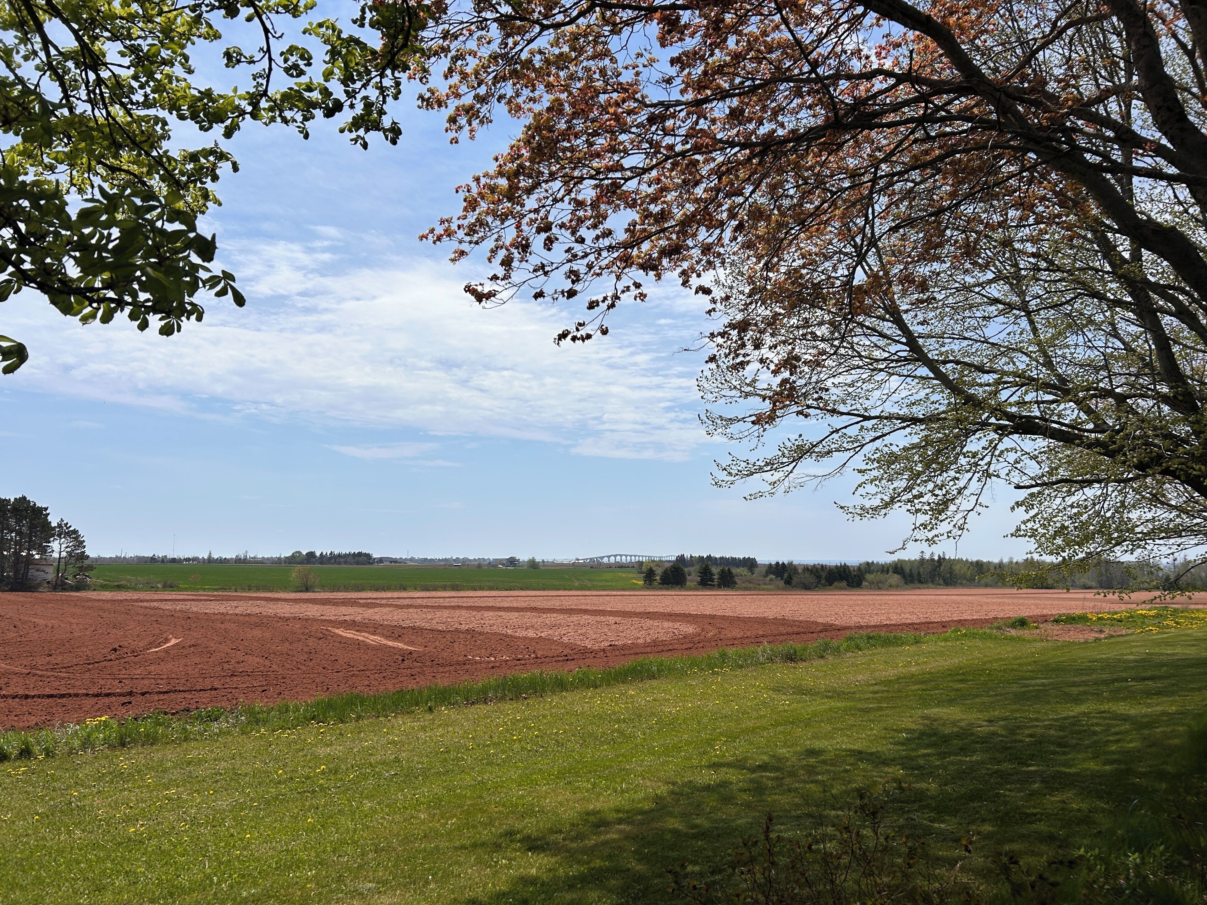A rural landscape with fields, a tree, and a clear sky.