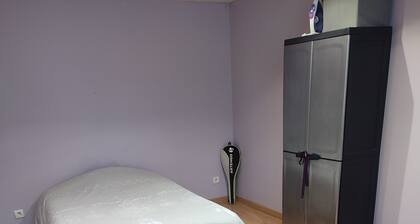 Lovely, atypical town house ideally located between Nancy and Lunéville