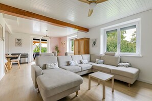 Smart TV, books - House "Le Nid de Cigognes" near Europa-park (Witternheim)