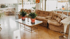 A cozy living room with a brown sofa, a glass coffee table, and potted plants. - Pousada Recanto das Cerejeiras (Rio Grande)