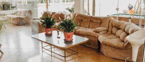 A cozy living room with a brown sofa, a glass coffee table, and potted plants.