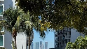 Vista de una calle con entrada porticada, palmeras y una vista despejada de edificios altos al fondo.
