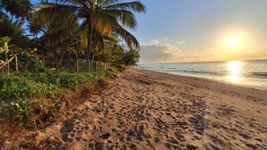 Una playa con huellas que conducen al agua, palmeras y una cerca a lo largo de la orilla.
