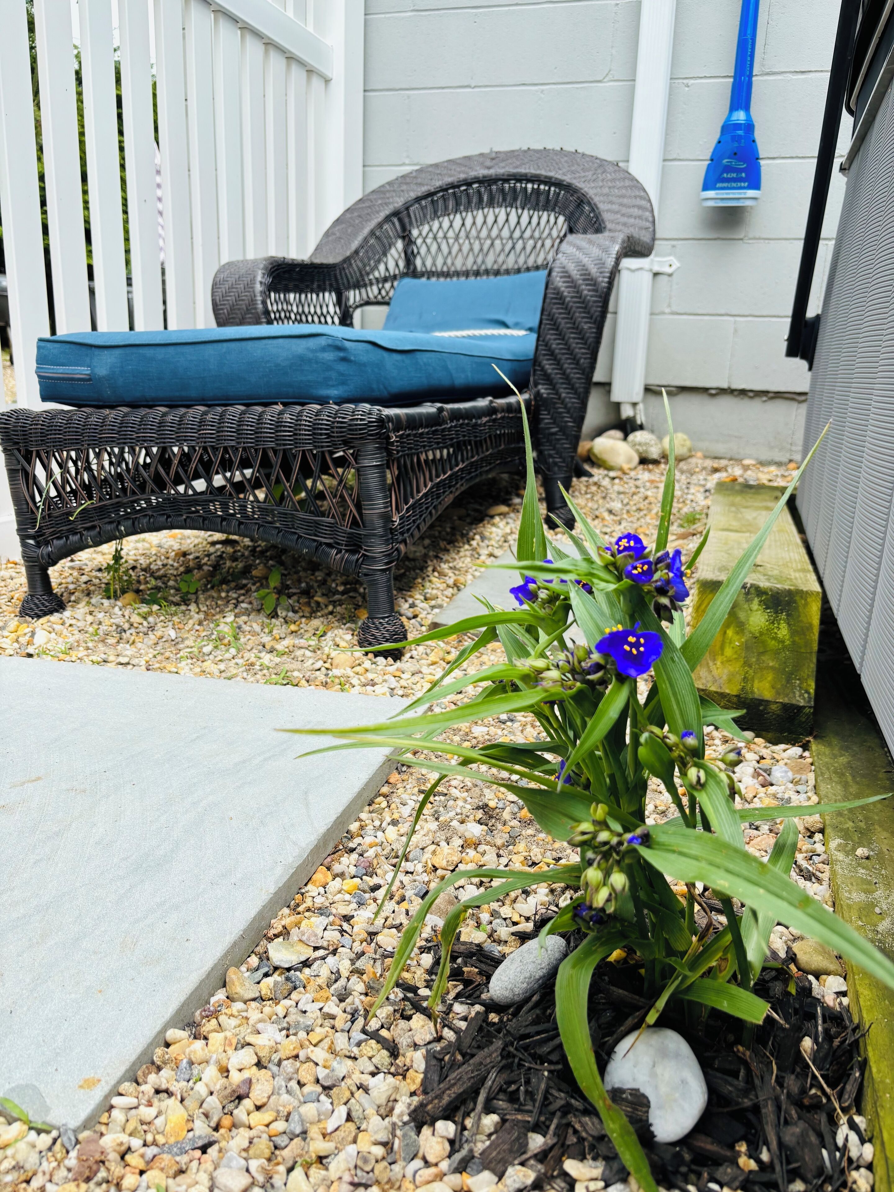 A wicker chair with a blue cushion, a small garden with pebbles and a plant with blue flowers, and a white fence in the background.