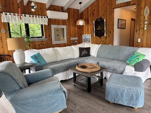 智能电视、壁炉、DVD 播放器、书