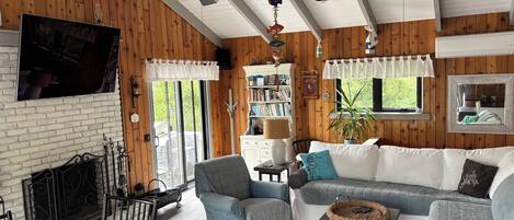 Smart TV, fireplace, DVD player, books