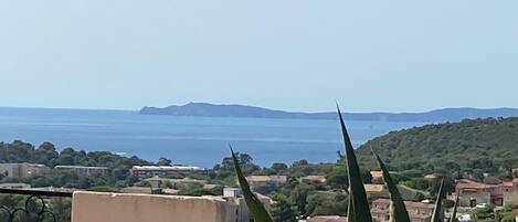 Uitzicht vanuit accommodatie