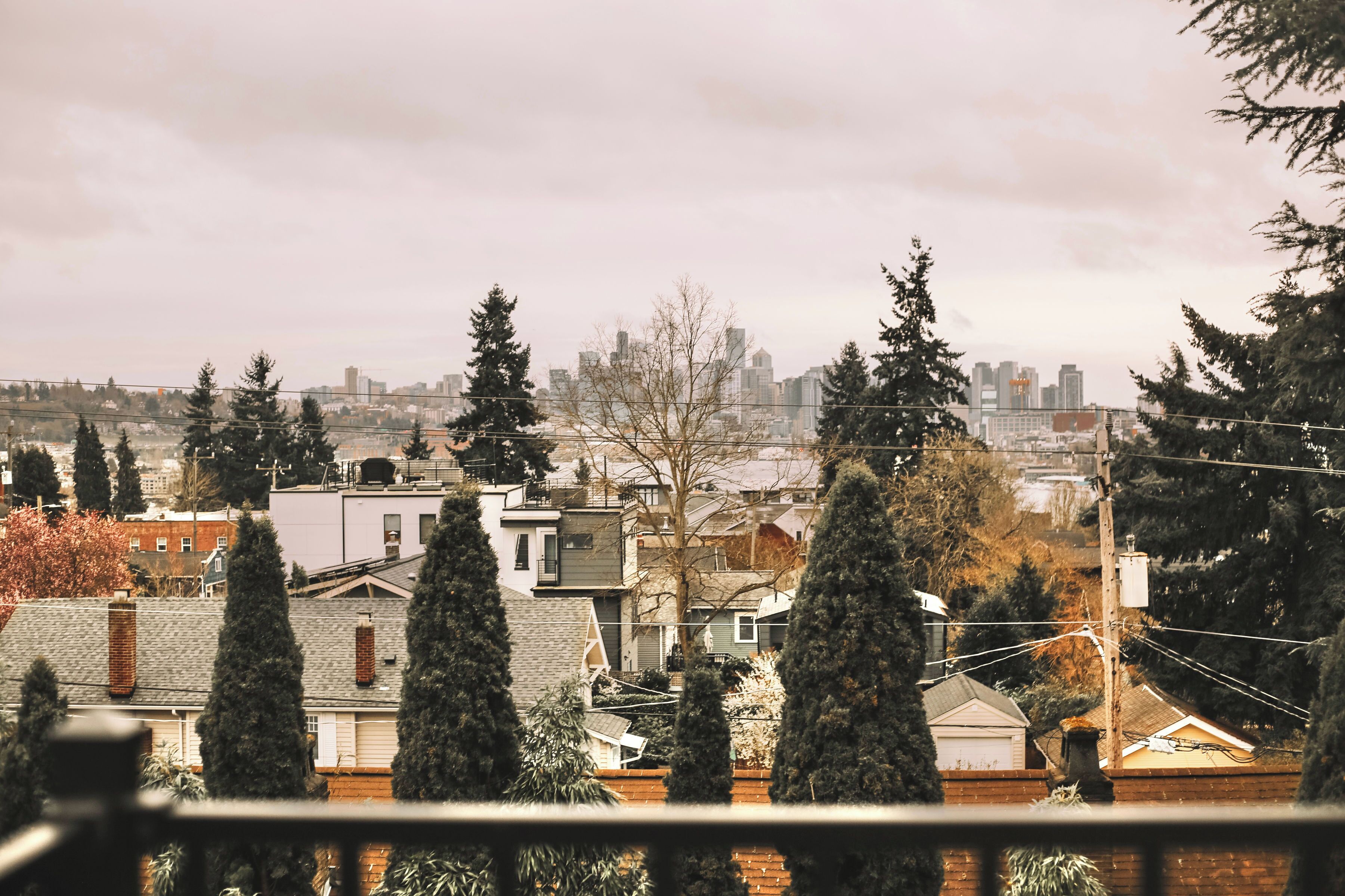 A residential area with houses, trees, and a distant city skyline.