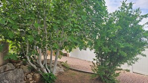 A garden with a raised bed, trees, and a white fence. - Mountain View Retreat Near Zion, Sand Hollow (Hurricane)