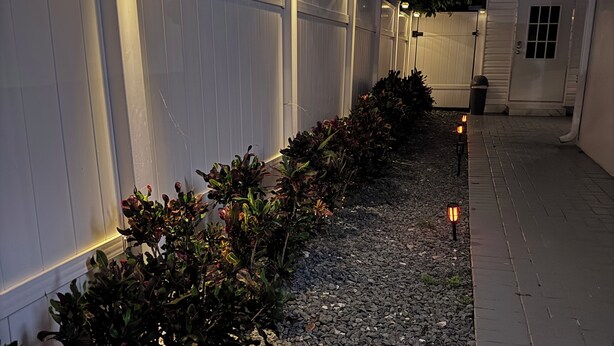 A pathway lined with plants and decorative lights, leading to a building with a white exterior and a door.