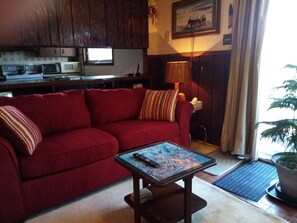 Smart TV, fireplace - Large,sunny, 2-room suite in quiet home located near lake, beach, shopping, bus. (St. Catharines)